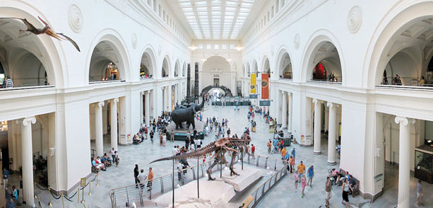 Field Museum