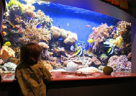 Pacific Coast Highway US1