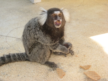 Iberostar Praia do Forte