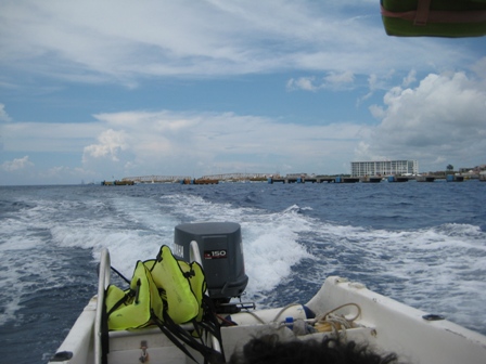 Cozumel - Playa del Carmen