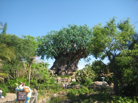 Animal Kingdom