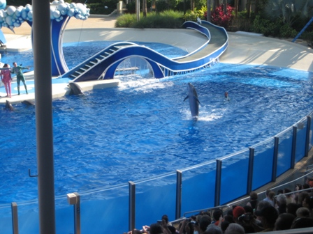 Sea World Orlando