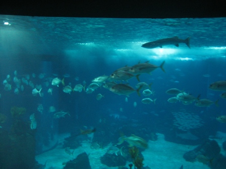 Lisboa Parque das Nações