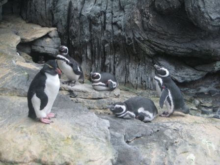 Lisboa Parque das Nações