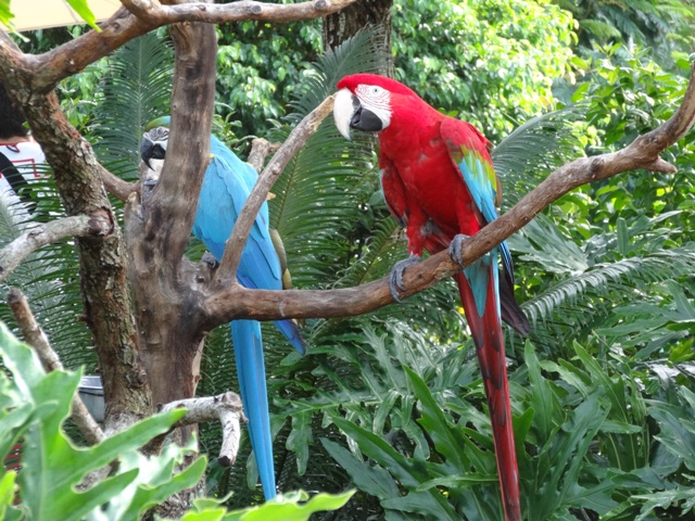 Discovery Cove Wind-Away River