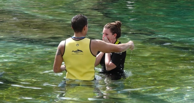 Discovery Cove Golfinhos