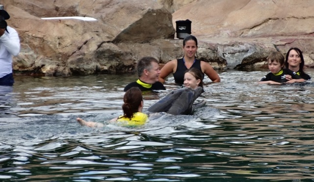 Discovery Cove Golfinhos