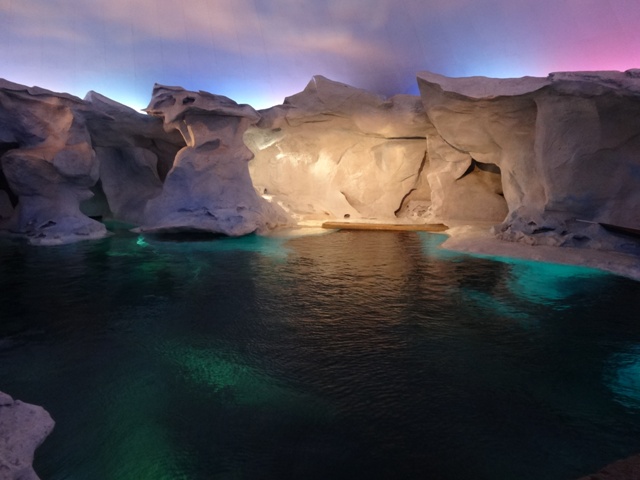 Orlando Sea World Beluga