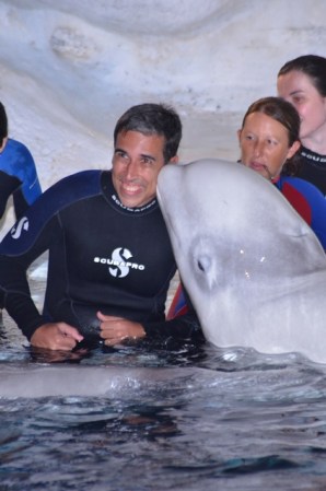 Orlando Sea World Beluga