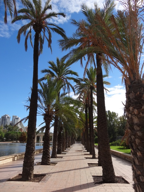 Valência - Parque 4