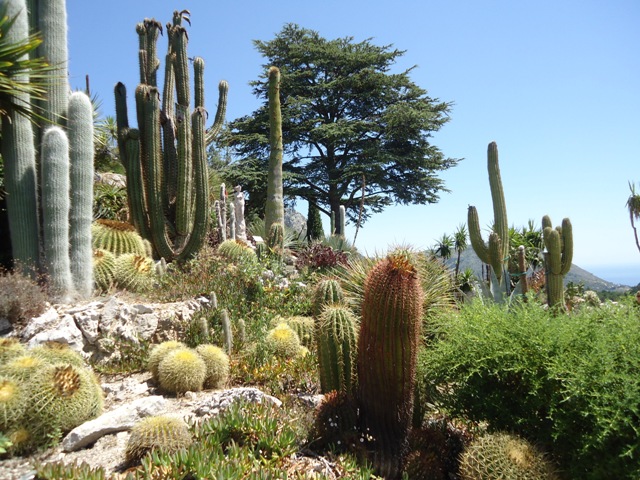 Eze - Exotic Garden 1