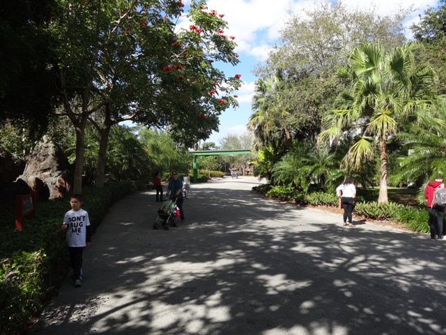 Miami Zoo 3
