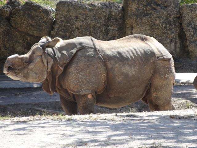 Miami Zoo