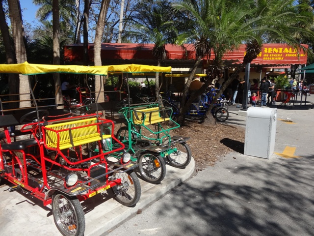 Miami Zoo - Safari Cycle