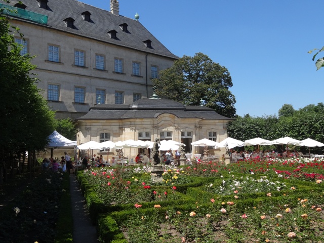 Bamberg - Rosengarten