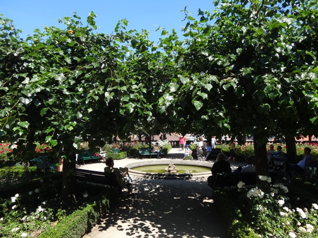 Bamberg - Rosengarten