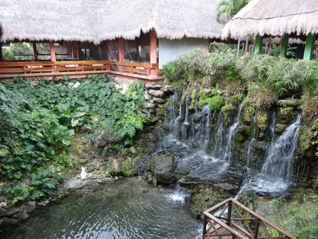 Playa del Carmen Iberostar - Floresta 4