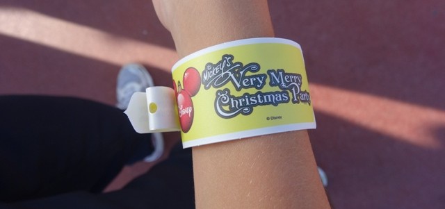 Mickeys_Very_Merry_Christmas_Party_2