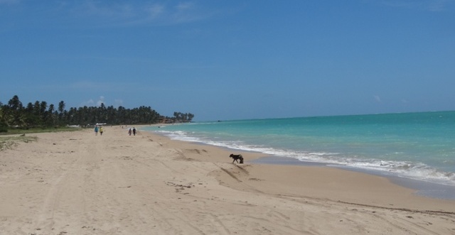 Alagoas_Praias_Litoral_norte